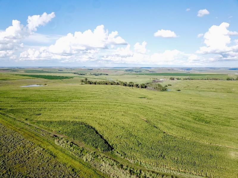 0 Bedroom Property for Sale in Bethlehem Rural Free State